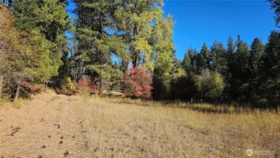 Driveway into the property