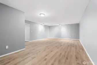 Massive rec room on lower level.