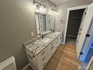 Jack & Jill vanity sinks in master bath