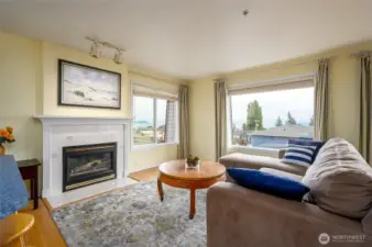 Gas fireplace in living room.