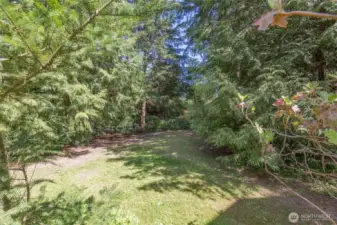Side Yard Area