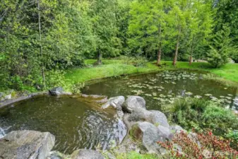 Community Park