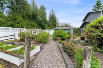 The gardens feature raised bed boxes