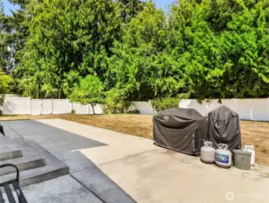 Property line extends a little past the vinyl fence (back of the house)