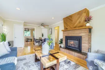 Gas fireplace insert