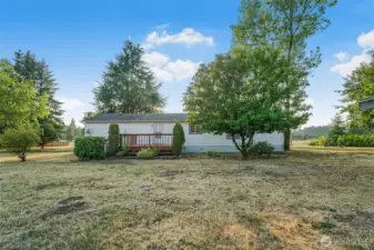 Enjoy the apple, plum, and cherry trees in the backyard!