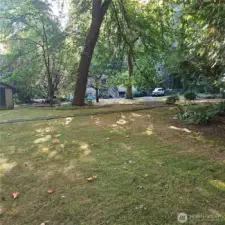 Park like setting with Heritage trees