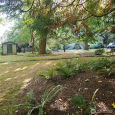 Park like setting with Heritage trees