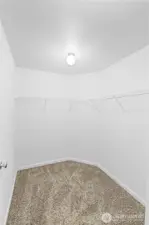 Walk-in Close in Master