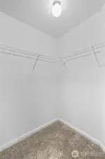 Walk-in Close in Master