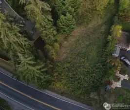 Partially cleared lot on main street-W Tapps Drive East, Lake Tapps