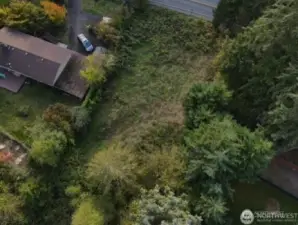 Lot hosts blackberries in front of lot, but somewhat cleared in middle.