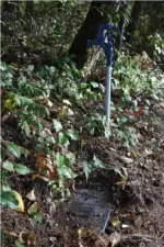 Water meter and water located on lot