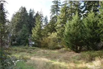 View from center of lot looking toward street