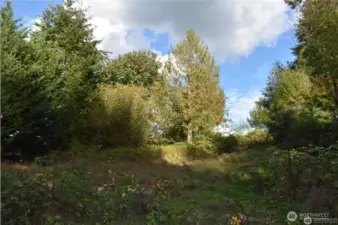View on lot facing Lake Tapps