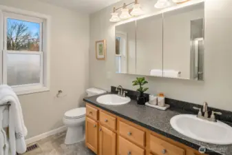 Generous sized hallway bathroom that offers double sinks and great counter space!