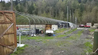 more hoop house pics
