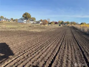 South west corner looking east.  220 foot property line