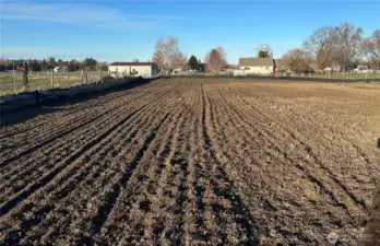 South east corner looking west