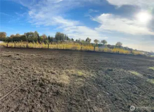 Back half of the lot.