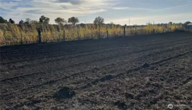 Plenty of privacy with a private treelined property line