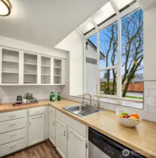 Large Kitchen Windows.