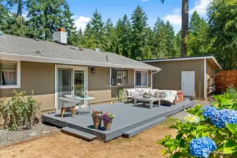 Beautiful sunny backyard