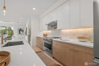 Chef's kitchen with pot filler & under cabinet lighting