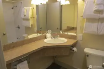 Full Bathroom Area