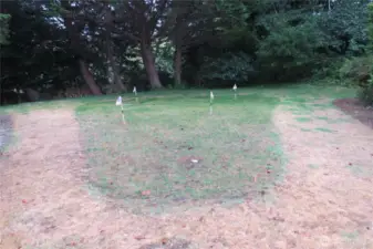 Putting Green