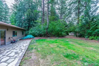 Fenced back yard