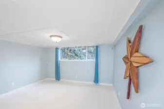 Lower level large bedroom.