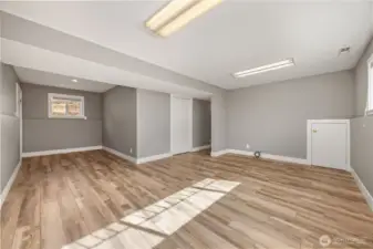 Massive lower living room