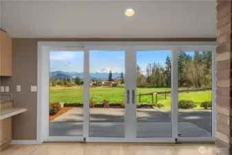 Patio Access of Kitchen and Family Room