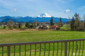 Primary Deck View
