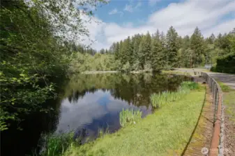 Tahuya River