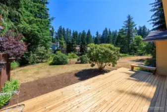 Amazing sunny backyard that has a new deck with seating bench.  Beyond the shrubs the yard gently slopes to Penny Creek.