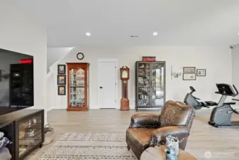 Lower floor great room perfect for adding your favorite fitness equipment.