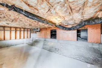 Basement storage area, could be work shop
