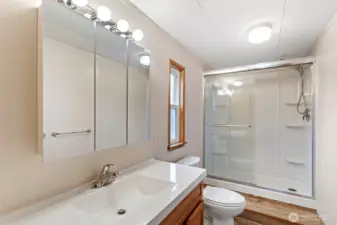 Primary bath w/ walk-in shower