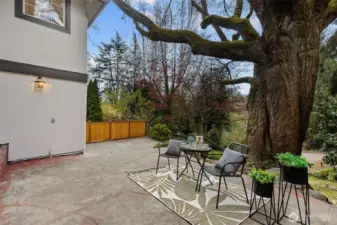 Lower level back patio