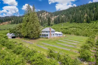 Fully irrigated usable outdoor space