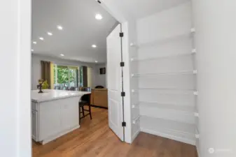 Check out the size of this pantry!