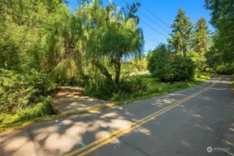 Road Approach From Taylor Ave