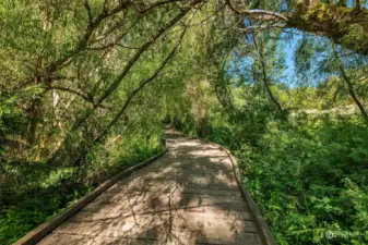 Imagine meandering down a wood planked path to your own island oasis.