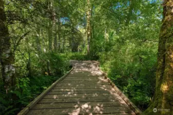 Imagine pulling up to a home filled with windows looking SW out to the wetlands and natures beautiful tapestry.