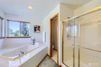 5 piece bathroom with seperate room for toilet