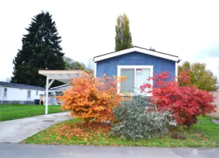 Enjoy colorful maples and a carport at the front of this 1991 manufactured home.