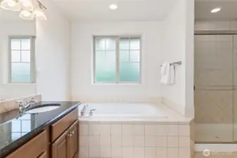 Large Soaking Tub