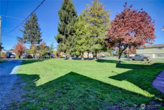 Spacious front yard with freshly graveled driveway to garage